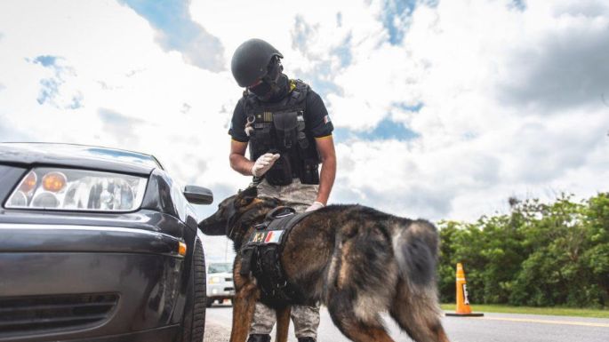 Detuvieron a un sujeto y secuestraron cocaína sobre la ruta 158