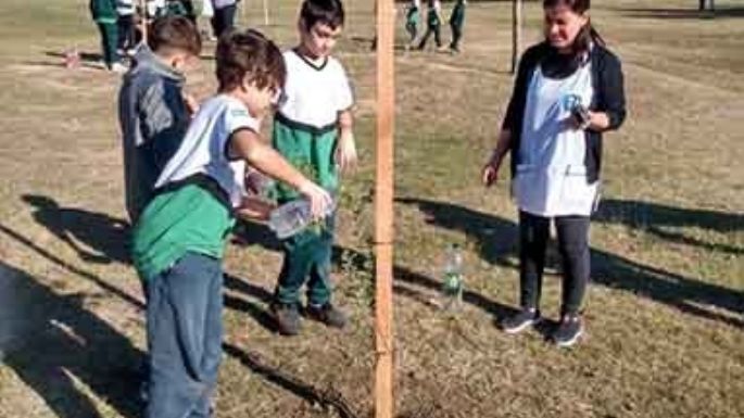 Plantaron 35 árboles en el Parque Pereira