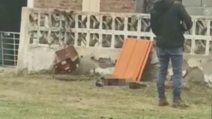 Un hombre mató de un escopetazo a un perro galgo