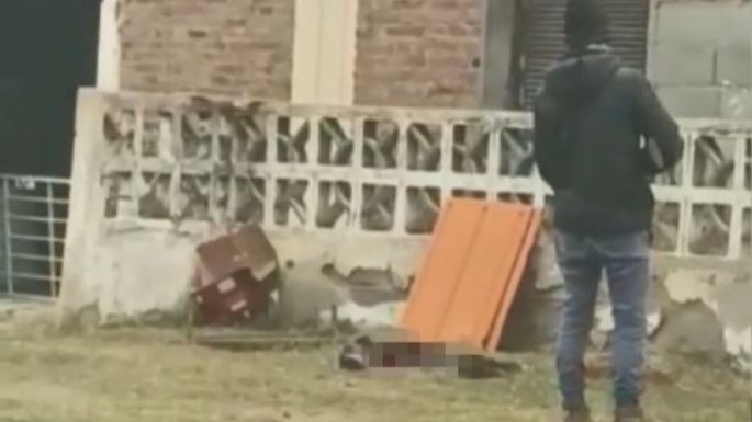 El hombre habría matado al galgo en venganza por la muerte de dos de sus terneros