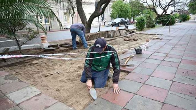 Realizaron distintas intervenciones de renovación en plaza Independencia