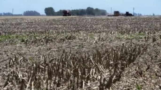 Declaran emergencia agropecuaria en 21 departamentos de Córdoba