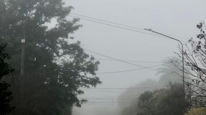 La llegada de junio cubrió de niebla la ciudad