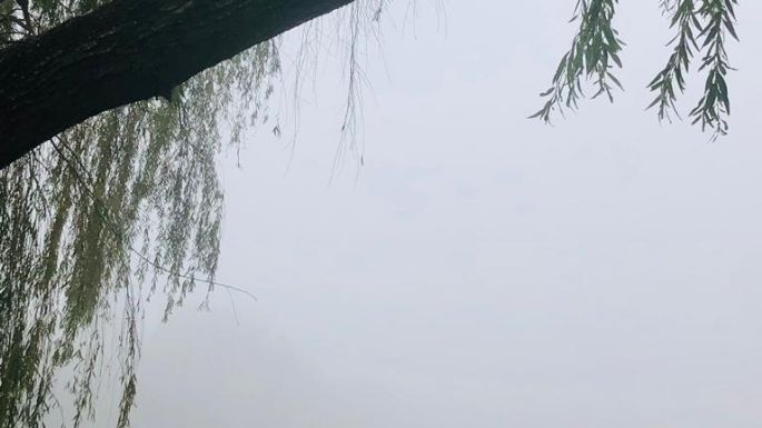 La llegada de junio cubrió de niebla la ciudad
