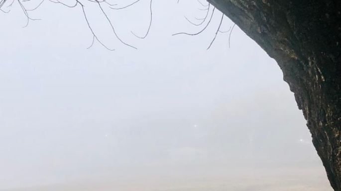 La llegada de junio cubrió de niebla la ciudad
