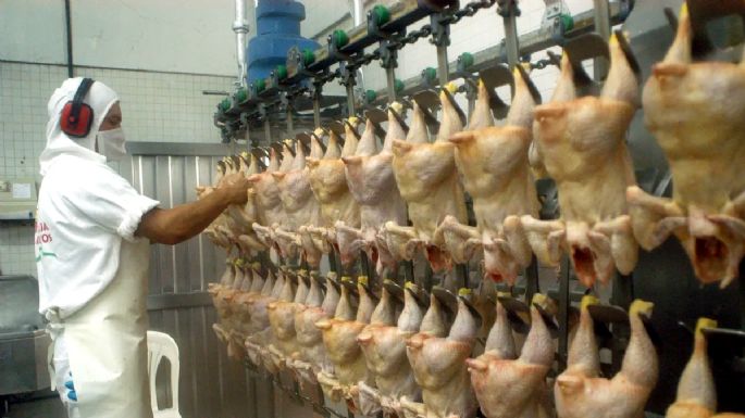 La industria avícola celebró las gestiones del Gobierno para reabrir el mercado chino