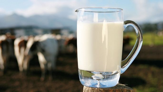 La leche, un motor de la economía regional