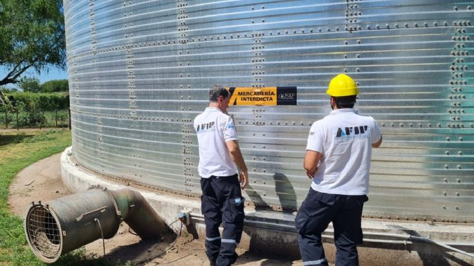 AFIP detectó maniobras fraudulentas en más de 600 toneladas de granos