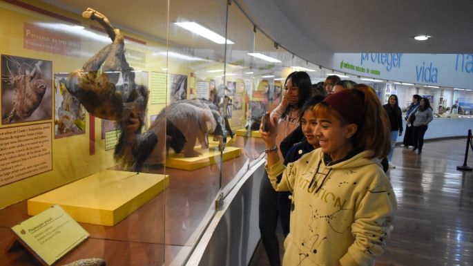 Estudiantes del IPEM Nº 147 local visitaron lugares icónicos en Córdoba