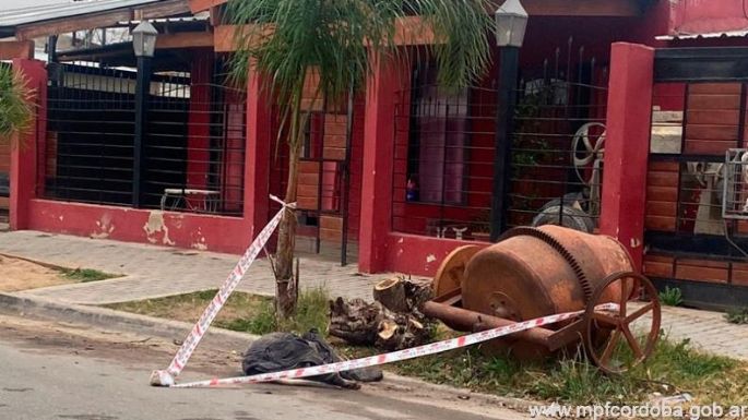 Imputaron al dueño de los dogos que mataron a una adolescente en Córdoba