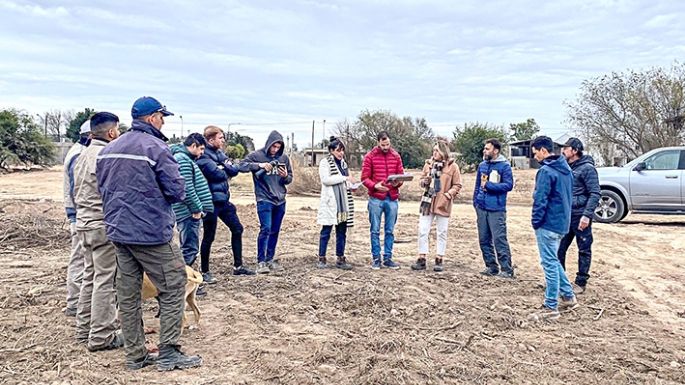 Comienza la etapa final del bosque