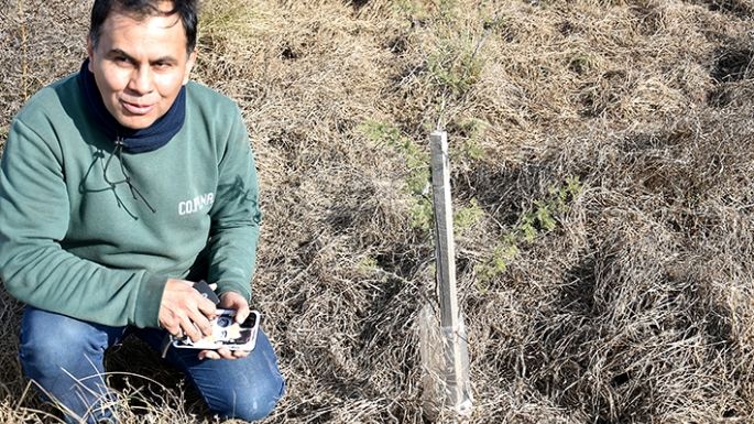 Una muestra de lo que se puede lograr forestando la zona rural