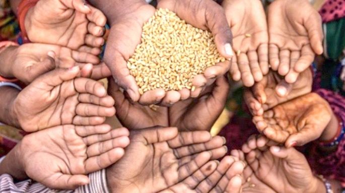 Preocupa la crisis alimentaria mundial