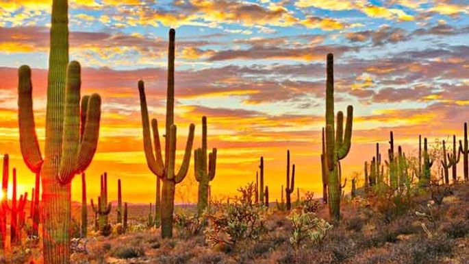 ¡Más de 80 grados en Sonora, México!