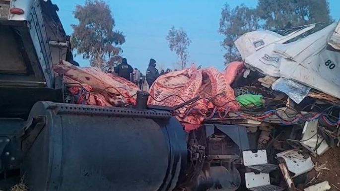 Un camión con 23 mil kilos de carne volcó en la ruta y los automovilistas saquearon la mercadería