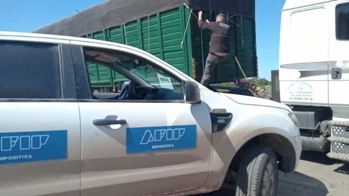 La AFIP detectó maniobras de evasión por más de $300 millones