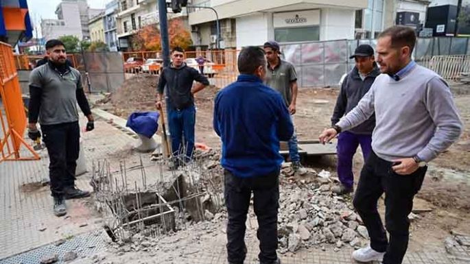 Colocaron los árboles en la Corrientes