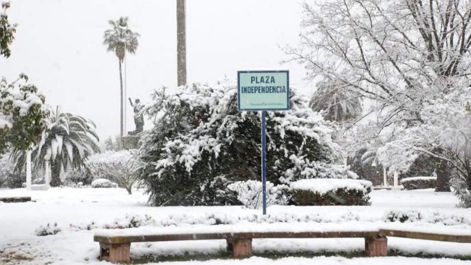 A 16 años de la histórica nevada