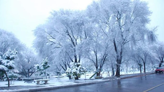 A 16 años de la histórica nevada