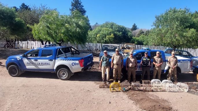 Policía Ambiental recuperó 43 aves que estaban en cautiverio