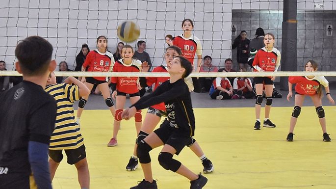 Más de 600 participantes en el Bomarraca