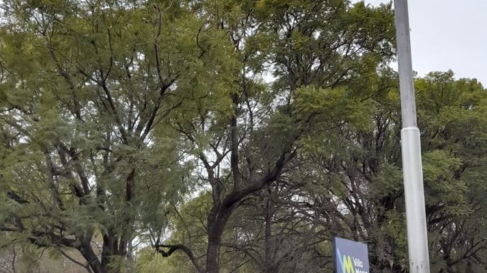La bandera del Orgullo ya flamea en la Plaza Pedro Viñas