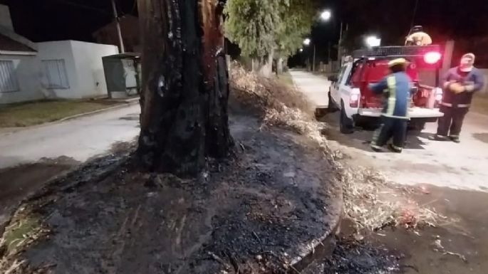 [Video] Bomberos apagaron un incendio de pastizales en barrio Ctalamochita