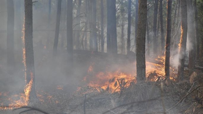 El Gobierno envía ayuda para asistir a los damnificados por los incendios