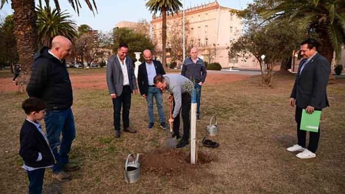 En busca de un futuro sustentable