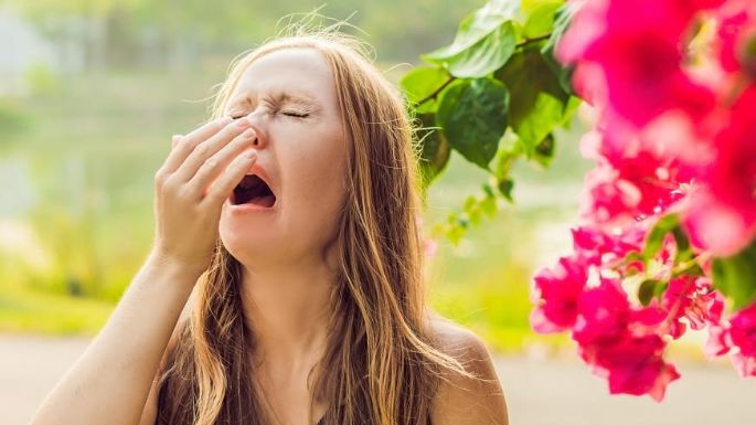 Alergia estacional: exacerbada reacción del organismo al polen