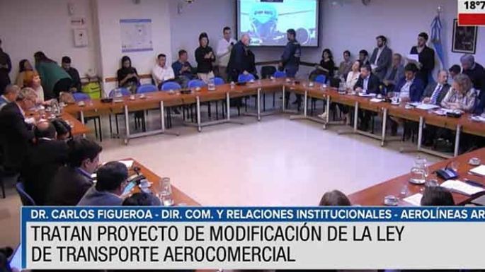 Emiten dictamen para proteger las  acciones de Aerolíneas Argentinas