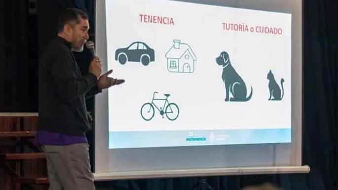 Tutoría responsable de animales