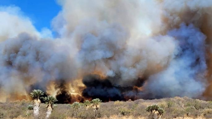 Bomberos combaten un nuevo incendio desatado en Ambul