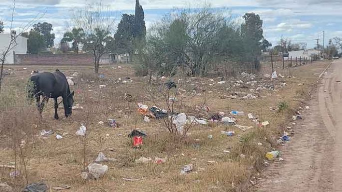 Arrojan residuos en la calle y la convierten en un mini basural