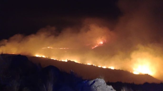 Bomberos contuvieron el importante incendio forestal de Potrero de Garay