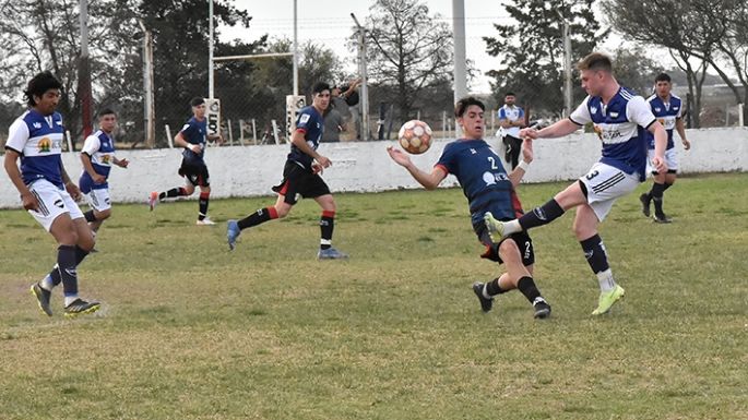 Lobo suelto en el Campus