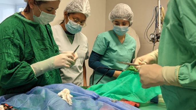 El primer centro de atención primaria de animales silvestres funcionará en la UNVM