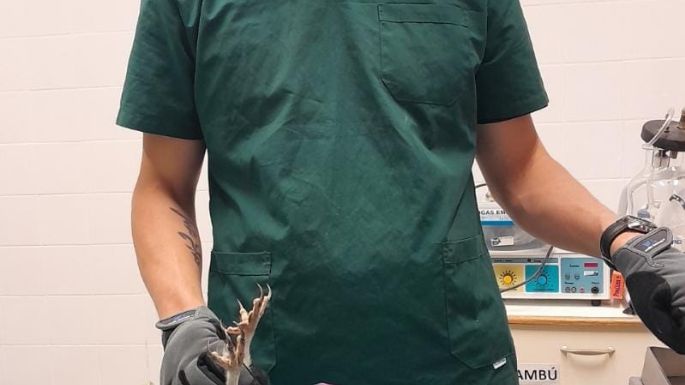 El primer centro de atención primaria de animales silvestres funcionará en la UNVM