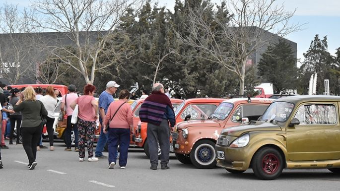 Casi 400 vehículos participaron del 1° Encuentro Multimarcas