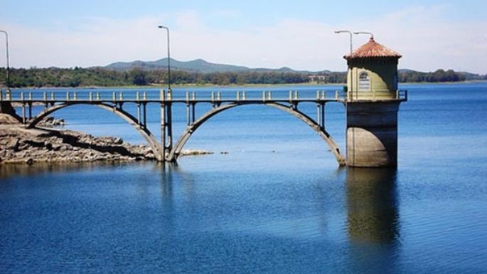 El lago, con varios peces muertos