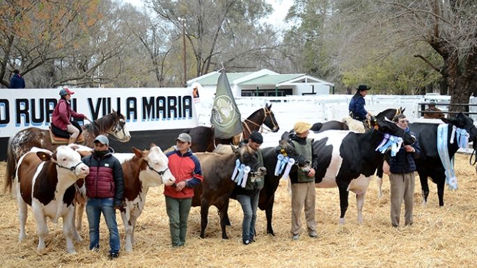Celebraron “la vuelta de las vacas”