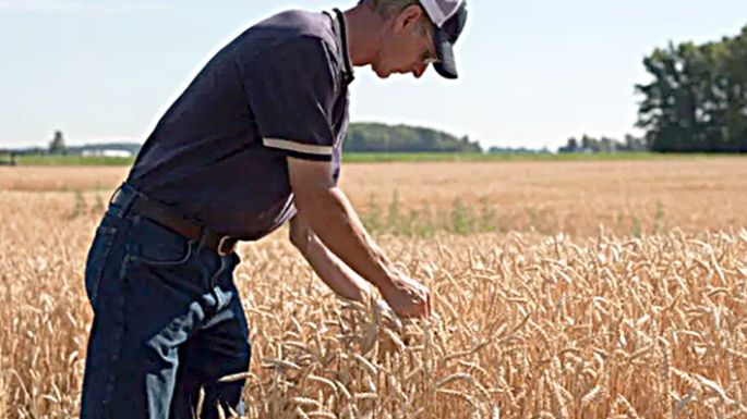 Medidas para pequeños productores