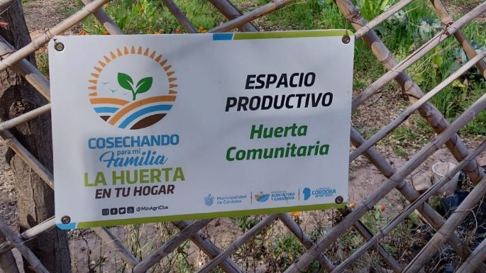 Huerta en tu Hogar