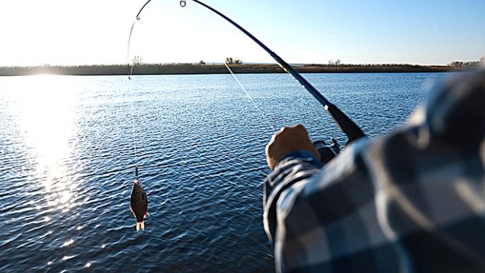 Rige la veda nocturna de pesca