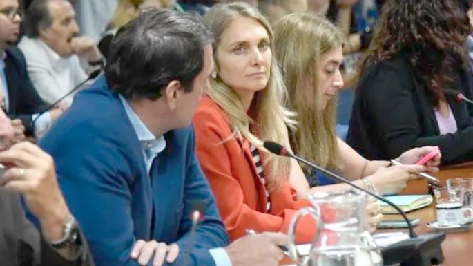 Diputada radical reiteró que no votará la privatización de la Fábrica Militar