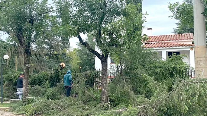 Destrozos en Santa Rosa