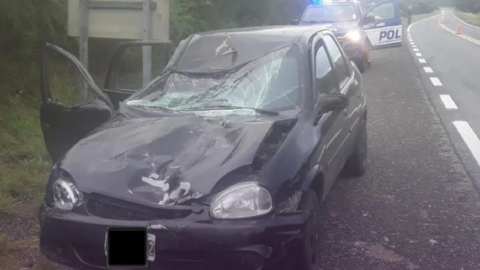 Tres heridos tras un choque contra un caballo suelto en la ruta