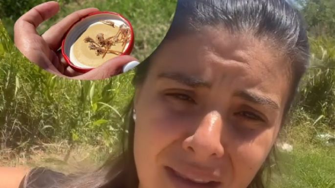 Vecinos del San Juan Bautista preocupados por la cantidad de alacranes