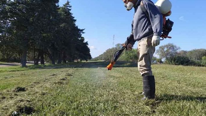 Comenzaron a fumigar