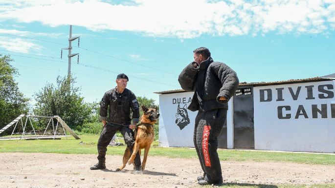 [VIDEO] Así entrenan a los canes del Servicio Penitenciario de Córdoba